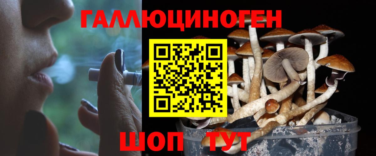 Псилоцибиновые грибы Psilocybine cubensis Белогорск